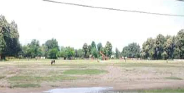 ସୁବର୍ଣ୍ଣପୁର ଜିଲ୍ଲାରେ ଖେଳପଡ଼ିଆ ପ୍ରତି ଦୃଷ୍ଟି ନାହିଁ : ଖେଳପଡ଼ିଆର ଅଭାବ ଯୋଗୁଁ କ୍ରୀଡ଼ାର ବିକାଶ ନେଇ ପ୍ରଶ୍ନବାଚୀ