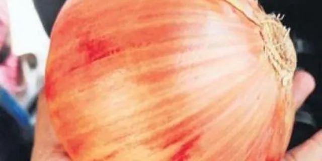 ରାଗୁଆ ନ ହୋଇଥିବାରୁ ଲୋକେ କିଣୁ ନ ଥିବା ୩୪୦୦୦ ଟନ୍‌ ବିଦେଶୀ ପିଆଜକୁ ଅଭାବୀ ବିକ୍ରୀ କରିବେ ସରକାର