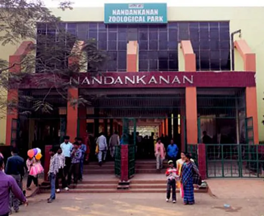 ନନ୍ଦନକାନନରେ ବିରଳ ପ୍ରଜାତିର କଇଁଛ ମୃତ