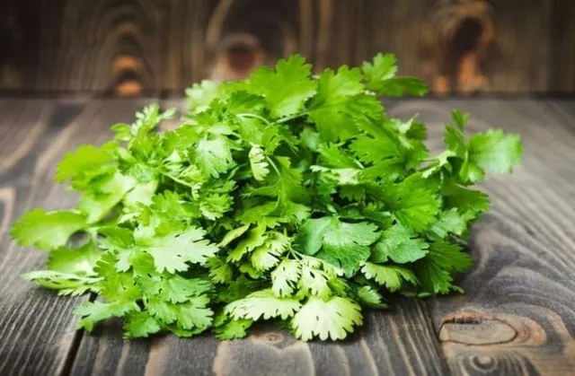 ଧନିଆ ପତ୍ର ଖାଇ ଦୂର କରନ୍ତୁ ଏହି ୪ଟି ରୋଗ