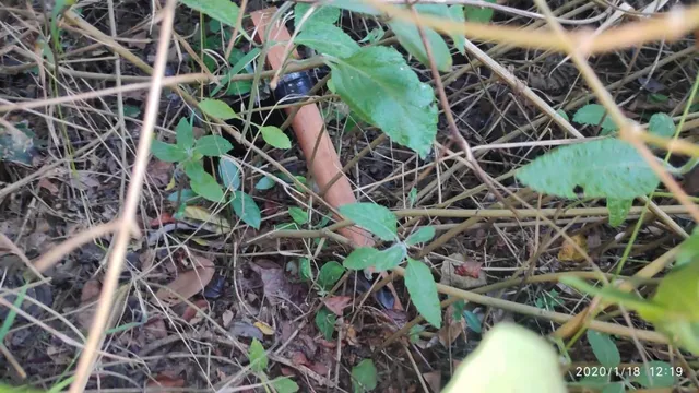 ୧୭ ଦିନ ହେବ ନିଖୋଜ ଥିବା ବିବାହିତା ମହିଳାଙ୍କ ମୃତଦେହ ମାଟି ତଳୁ ଉଦ୍ଧାର, ସ୍ବାମୀ ହତ୍ୟା କରି ପୋତି ଦେଇଥିଲା !