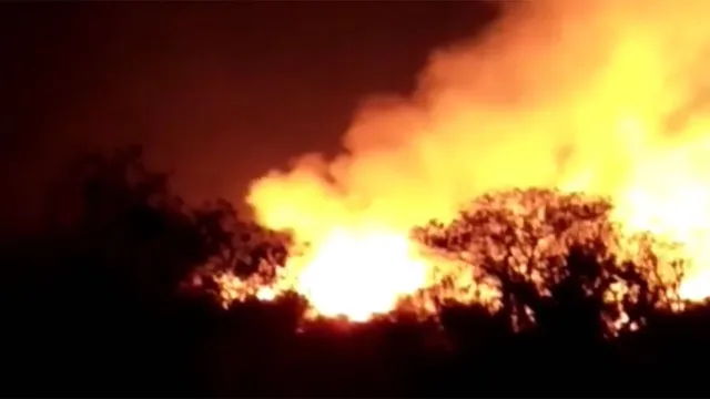 ଜଣେ ବ୍ୟକ୍ତିଙ୍କର ଗୋଟିଏ ଭୁଲ ପାଇଁ ଆଖି ପିଛୁଳାକେ ଜଳି ପାଉଁଶ ହୋଇଗଲା ୨୫ ହେକ୍ଟର ଜମି, ବନ୍ୟଜନ୍ତୁ ବି ହେଲେ ନିଆଁର ଶିକାର