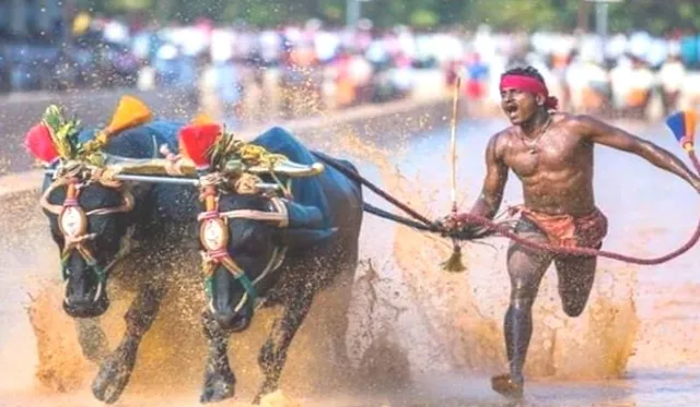 ଭାରତର ଉସେନ ବୋଲ୍ଟଙ୍କ ପାଖକୁ ଟ୍ରେନ ଟିକଟ ପଠାଇଲେ କେନ୍ଦ୍ର କ୍ରୀଡ଼ାମନ୍ତ୍ରୀ !