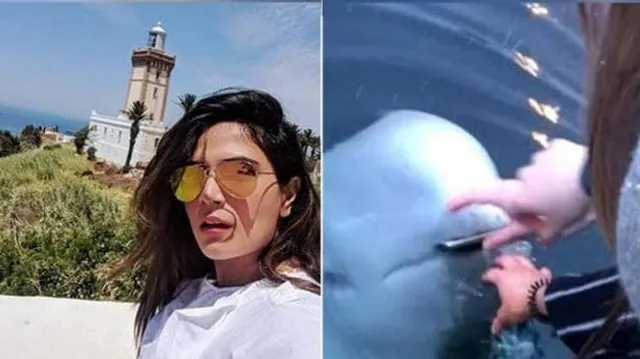 ଅସାବଧାନତା ହେତୁ ସମୁଦ୍ରରେ ଖସି ପଡ଼ିଥିବା ଆଇଫୋନ୍‌କୁ ମହିଳାଙ୍କୁ ଫେରାଇଲା ତିମି, ରିଚ୍ଚା ସେୟାର କଲେ ଘଟଣାର ଭିଡିଓ