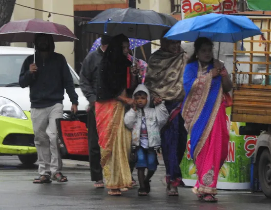 ଝିପିଝିପି ବର୍ଷାକୁ ଉତ୍ତରା ପବନ ଥରାଉଛି