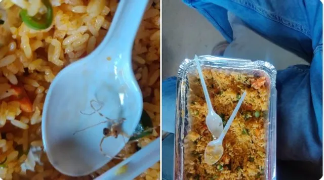 ରେଳଯାତ୍ରୀ ଅର୍ଡର କରିଥିବା ବିରିଆନିରେ ମିଳିଲା ବୁଢ଼ିଆଣୀ, ଟୁଇଟରରେ କଲେ ଅଭିଯୋଗ