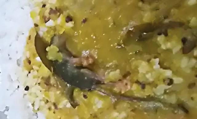 ବ୍ରହ୍ମପୁର ରେଳ‌ଷ୍ଟେସନ୍‌ ନିକଟରେ ଆହାରକେନ୍ଦ୍ରରୁ ଡାଲମାରୁ ବାହାରିଲା ମଲା ମୂଷା