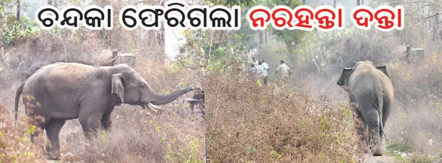 ଚନ୍ଦକା ଫେରିଗଲା ନରହନ୍ତା ଦନ୍ତା, ଦୟା ନଦୀ ପରେ ପାର୍ ହେଲା ରେଳ ଲାଇନ୍ ଓ ଜାତୀୟ ରାଜପଥ