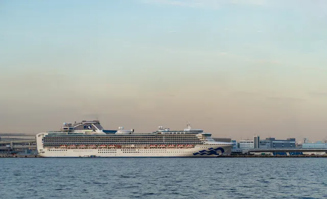 ଡାଇମଣ୍ଡ୍‌ ପ୍ରିନସେସ ଜାହାଜରେ ଆଉ ଜଣେ ଭାରତୀୟଙ୍କୁ କରୋନା ଭାଇରସ ସଂକ୍ରମଣ, ମୋଟ ସଂଖ୍ୟା ୮ରେ ପହଞ୍ଚିଲା