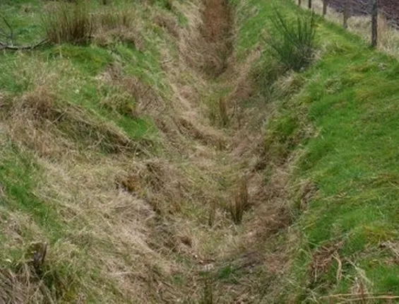 ଡ୍ରେନେଜ୍ ଡିଭିଜନରେ ମହାଦୁର୍ନୀତି : ଘାସ ଚାଞ୍ଛି ଗିଳିଦେଲେ ୨.୨୬କୋଟି