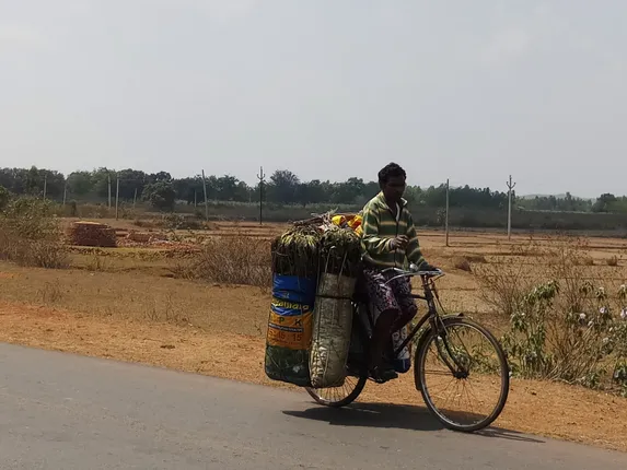 କାଠ ଅଙ୍ଗାରର ଚାହିଦା ଏବେ ବି ରହିଛି: କୋରାପୁଟ ଜିଲା ଓ ପଡୋଶୀ ଜିଲ୍ଲାରେ ବିପୁଳ ପରିମାଣର ବିକ୍ରି ହେଉଛି