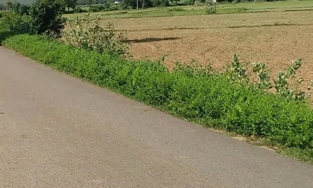 କିସମ ବଦଳାଇ ବିକିଦେଲେ ୫ କୋଟି ମୂଲ୍ୟର ସରକାରୀ ଜମି