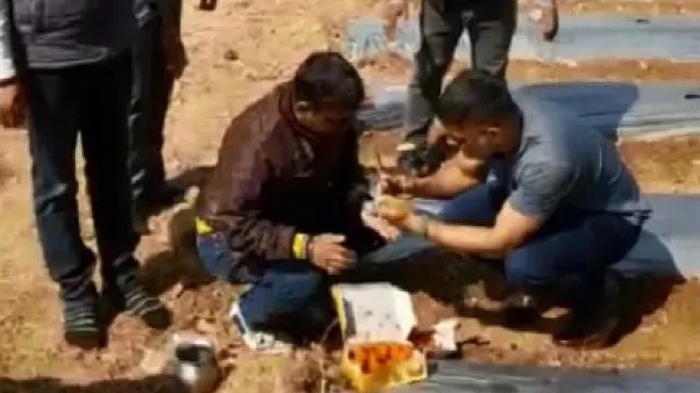 ଜୈବିକ ଚାଷରେ ନିଜକୁ ବ୍ୟସ୍ତ କରି ଦେଇଛନ୍ତି ଧୋନି, ଫେସ୍‌ବୁକ୍‌ରେ ସେୟାର କଲେ ଭିଡିଓ