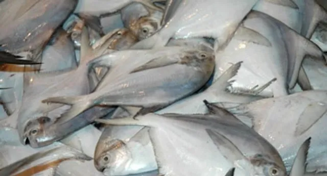 ପଛୁଆ ଅଞ୍ଚଳର ଆଗୁଆ ମହିଳା; ମାଛ ଚାଷ କରି ହୋଇଛନ୍ତି ସ୍ବାବଲମ୍ବୀ