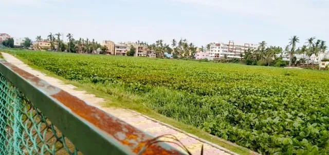 ରାଜଧାନୀ ଭୁବନେଶ୍ୱରରୁ ୫୪ ଜଳାଶୟ ଉଭାନ୍, ବାକି ୭୪ର ପୁନରୁଦ୍ଧାର ହେଉନି