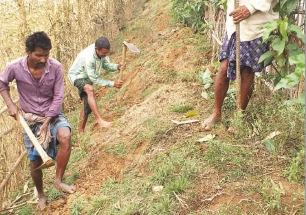 ବୃକ୍ଷରୋପଣରେ ମହାଦୁର୍ନୀତି : ବାଇକ୍‌, ସ୍କୁଟର୍‌ ପାଲଟିଛି ପାଣି ଟ୍ୟାଙ୍କର