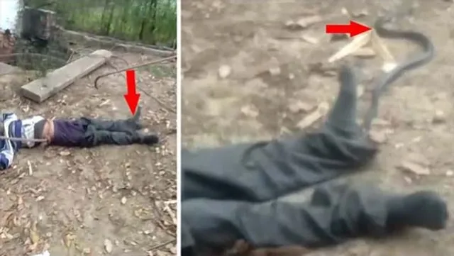 ଅସାବଧାନତା ହେତୁ କୂଅ ଭିତରେ ଖସି ପଡ଼ିଥିଲେ ଯୁବକ, ଗୋଟିଏ ରାତି ପ୍ୟାଣ୍ଟ ଭିତରେ ନାଗସାପ ପଶି ରହିଥିଲେ ହେଁ କିଛି କ୍ଷତି ପହଞ୍ଚାଇ ନଥିଲା