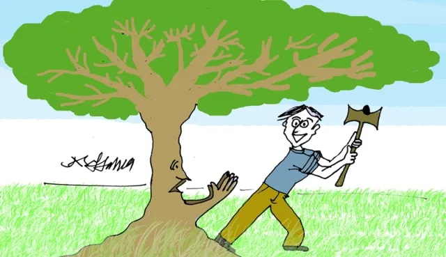 କଲେଜ ପାଚେରି ପାଇଁ ଗଛ କଟା ପ୍ରସଙ୍ଗ, ପୂର୍ତ୍ତ ବିଭାଗ ସହକାରୀ ଯନ୍ତ୍ରୀ ଓ ଠିକା ସଂସ୍ଥା ପରିଚାଳକଙ୍କୁ ପଚରାଉଚରା