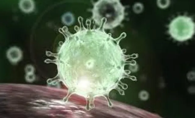 କରୋନା, ମା’ ଆଉ ଆମ ମୁଖ୍ୟମନ୍ତ୍ରୀ