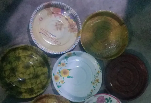 ଭଲ ଖବର: ମହିଳା ତିଆରି କରୁଛନ୍ତି ପେପର ଥାଳି