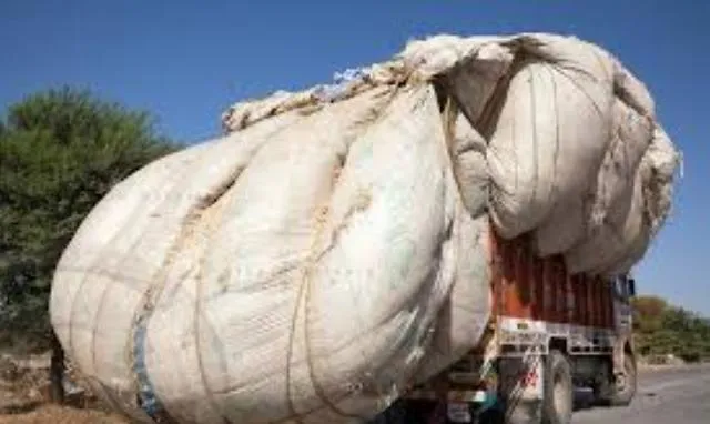 ଭାରସାମ୍ୟ ହରାଇ ଓଲଟିଲା କପା ବୋଝେଇ ଟ୍ରକ୍