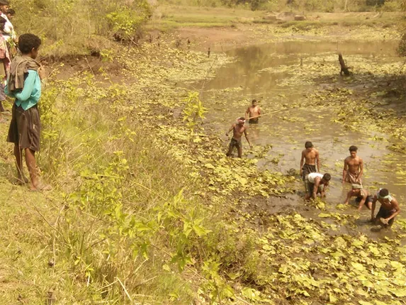 ତଳଗାଁ ପଞ୍ଚାୟତ, ଲକଡାଉନ ଭାଙ୍ଗି ପୋଖରୀରେ ଚାଲିଲା ମାଛମରା