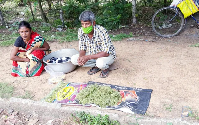 ଦାଉସାଜିଛି କରୋନା କଟକଣା: ଲିମ୍ବକଢ଼ି ବିକିଲେ ଚଳୁଛି ପରିବାର