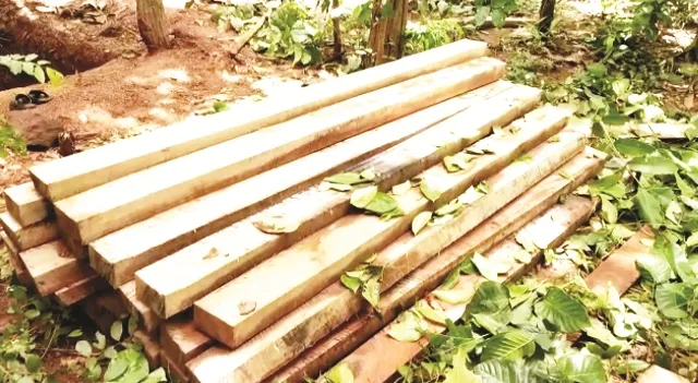 ରୋଗୀ କଲ୍ୟାଣ ସମିତି ବୈଠକରେ ଅସନ୍ତୋଷ: ବିନା ନିଲାମରେ ଗଛ, କାଠ ଓ ଆଜ୍‌ବେଷ୍ଟସ୍‌ ବିକ୍ରି