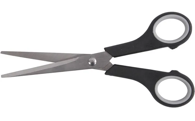 ଯୁବକଙ୍କ ତଣ୍ଟିରେ କଇଁଚି ପୂରେଇ ଦେଲେ