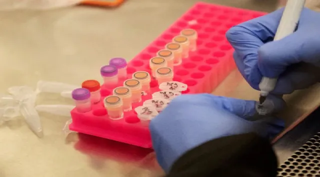 ଗବେଷକଙ୍କୁ ମିଳିଲା ସଫଳତା: କରୋନା ଭାଇରସ୍‌ ବିରୋଧରେ ମୂଷା ଦେହରେ ଦେଲେ ପ୍ରତିଷେଧକ ପ୍ୟାଚ୍, ୨ ସପ୍ତାହ ମଧ୍ୟରେ ମିଳିଲା ସୁଫଳ