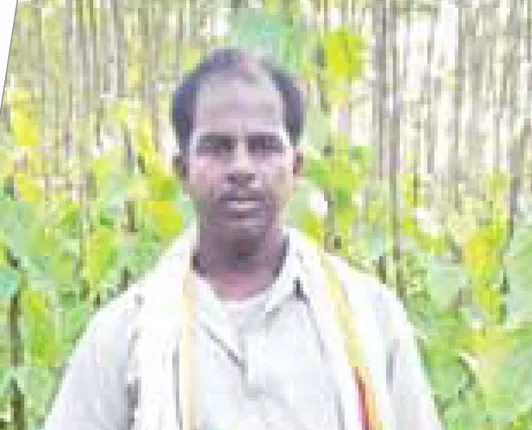 କରୋନା ଉଜାଡ଼ିଲା ପାନ ବରଜ