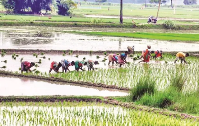 ପ୍ରଗତିଶୀଳ ମହିଳା ଚାଷୀ ତାଲିକାରେ ଓଡ଼ିଶାରୁ ୩