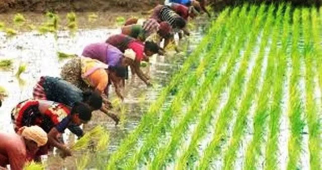 କୃଷି ଲାଗି ବ୍ୟାଙ୍କରୁ ନିଆଯାଇଥିବା ସ୍ୱଳ୍ପକାଳୀନ ଋଣ ପରିଶୋଧ ସମୟ ସୀମା ୩୧ ଅଗଷ୍ଟ ପର୍ଯ୍ୟନ୍ତ ବୃଦ୍ଧି