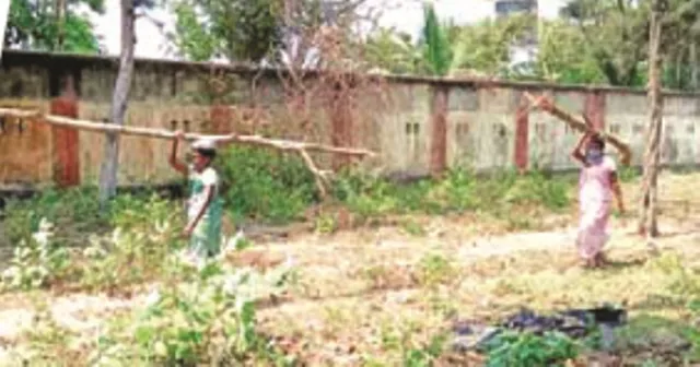 ଜଗତସିଂହପୁର : ମାଫିଆଙ୍କ ହାତବାରିସି ସାଜିଛନ୍ତି ମହିଳା, ସଫା କରିଦେଲେ ବେଳାଭୂମି ଝାଉଁବଣ