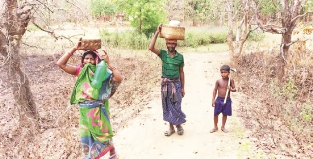 କରୋନା କଟକଣାରେ ଅସହ୍ୟ ହେଲାଣି ପେଟର ଭୋକ : ଆଦିବାସୀଙ୍କ ପାଇଁ ଜୀବିକା ଯୋଗାଇଛି ମହୁଲଫୁଲ