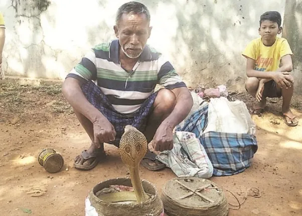 କରୋନା ପ୍ରଭାବରୁ ବେଉସା ବନ୍ଦ : ଭିକ ମାଗିଲେଣି ମୁଣ୍ଡପୋତା ଓ ସାପୁଆ କେଳା