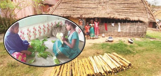 କଅଁଳ ବୟସ ଉପରେ ପରିବାରର ବୋଝ : କାଠ ବିକ୍ରି ଓ ଖଲି ସିଲାଇ କଲେ ଚୁଲି ଜଳେ