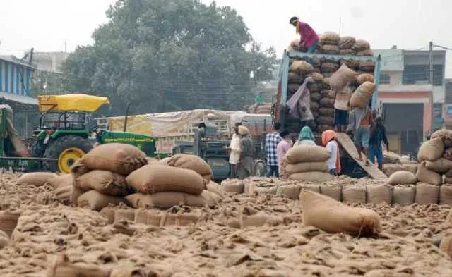 ଖରିଫ ଋତୁରେ ଧାନକିଣା: ୩ ମାସ ହେଲା ଶ୍ରମିକଙ୍କୁ ପ୍ରାପ୍ୟ ଦେଇନାହାନ୍ତି ଏସ୍‌ଏଚ୍‌ଜି