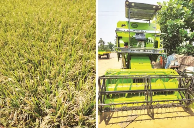 ଧାନ ଅମଳରେ କରୋନା ବଇରୀ : କାମରେ ଆସୁନି ଶହେରୁ ଊର୍ଦ୍ଧ୍ବ ହାର୍ବେଷ୍ଟର, ଓଡ଼ିଶାରେ ନାହାନ୍ତି ଅପରେଟର, ଚିନ୍ତାରେ ଚାଷୀ