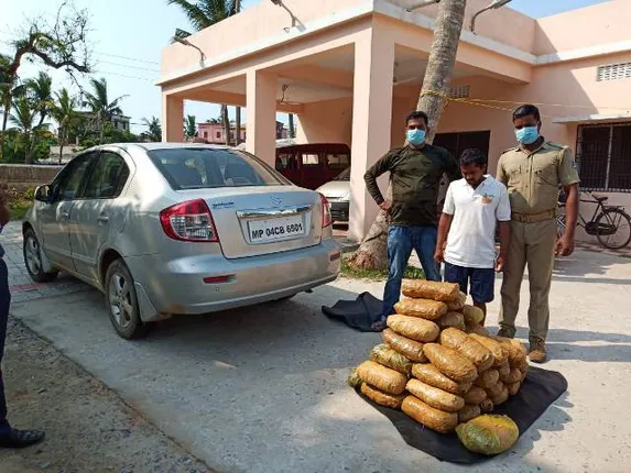 ପୁରୀରେ ୪୪ କିଲୋଗ୍ରାମ୍ ଗଞ୍ଜେଇ ଜବତ, ଜଣେ ଗିରଫ