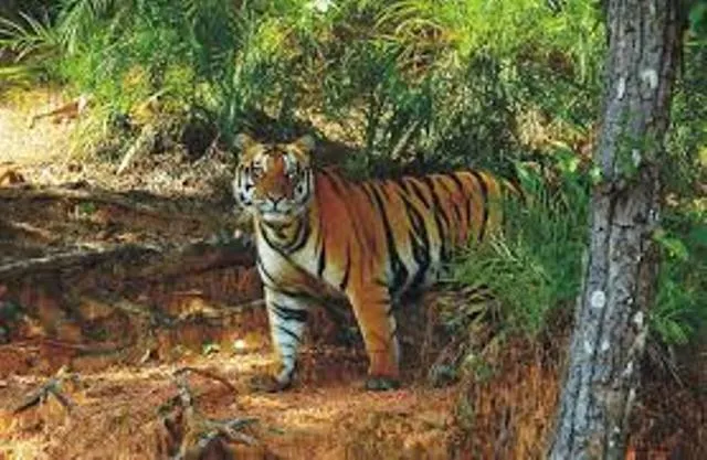 ଏଣିକି କ୍ୱାରାଣ୍ଟିନରେ "ସୁନ୍ଦରୀ", ବିନା ସାନିଟାଇଜରେ ଏନକ୍ଲୋଜର ପାଖ ମାଡ଼ିବେନି କର୍ମଚାରୀ