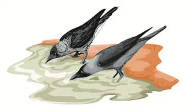 ଡାମରା କୁଆ ଆଉ ପାଣିକୁଆ