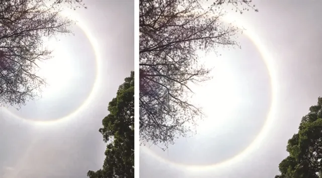 ସୂର୍ଯ୍ୟ ଚାରିପାଖେ ଦୃଶ୍ୟମାନ ହେଲା ବଳୟ ! ବର୍ଷରେ ଶହେରୁ ଅଧିକ ଥର ଏପରି ଘଟିଥାଏ