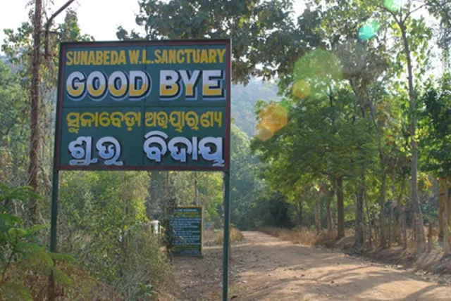 ସୁନାବେଡ଼ା ଅଭୟାରଣ୍ୟରେ ବନ୍ୟପ୍ରାଣୀ ଡହଳବିକଳ