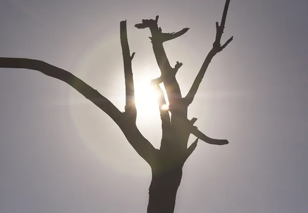 ଭୁବନେଶ୍ବର, ଟିଟିଲାଗଡ଼ ସବୁଠୁ ଉତ୍ତପ୍ତ, ଆଗାମୀ ୩ ଦିନ ରାଜ୍ୟରେ ଆହୁରି ୩ ଡିଗ୍ରି ବଢ଼ିବ