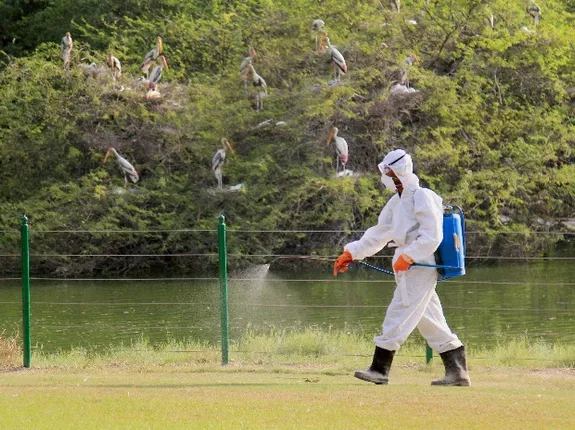 ଭାରତୀୟ ଚିଡ଼ିଆଖାନା ପାଇଁ ସତର୍କ ସୂଚନା ଜାରି କଲେ କେନ୍ଦ୍ରୀୟ ଚିଡ଼ିଆଖାନା କର୍ତ୍ତୃପକ୍ଷ