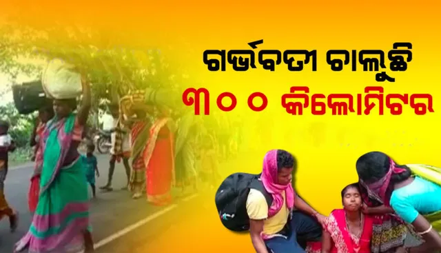 ତାଲାବନ୍ଦ ବଢ଼ୁଛି ଶ୍ରମିକଙ୍କ ଦୁଃଖ, ୩୦୦ କିଲୋମିଟର ବାଟ ଚାଲିବାକୁ ବାହାରିଲେ ଶିଶୁ ଓ ଗର୍ଭବତୀ ମହିଳା
