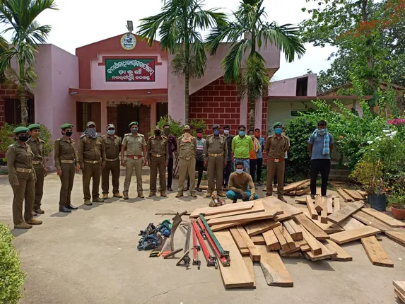 ଡାବୁଗାଁ ବନବିଭାଗର ଚଢାଉ: ୩ ଗିରଫ, ବିପୁଳ ପରିମାଣର କାଠ ପଟା ଜବତ