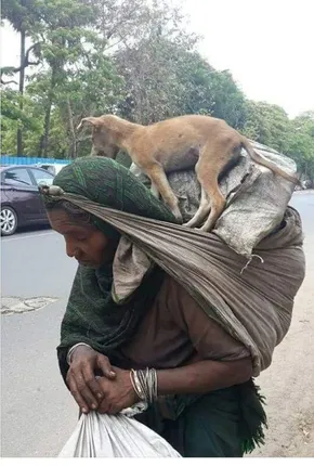 ବୁଢ଼ୀ ମା’ର ପିଠି ଉପରେ କୁକୁର ଥିବା ଫଟୋକୁ ଦେଖି ଲୋକେ ହେଲେ ଭାବୁକ କହିଲେ, ‘ଏହା ହିଁ ହେଉଛି ପ୍ରକୃତ ଭଲପାଇବା’