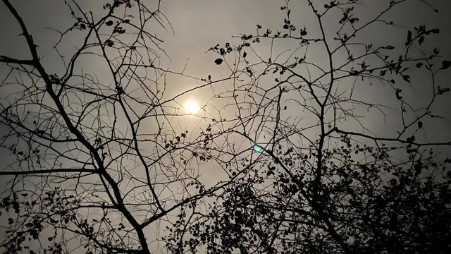 ଜହ୍ନ ଆମକୁ ଲୁଚି ଦେଖୁଛି... । (ଫଟୋ: ତରୁଣ, ଜୟପୁର)